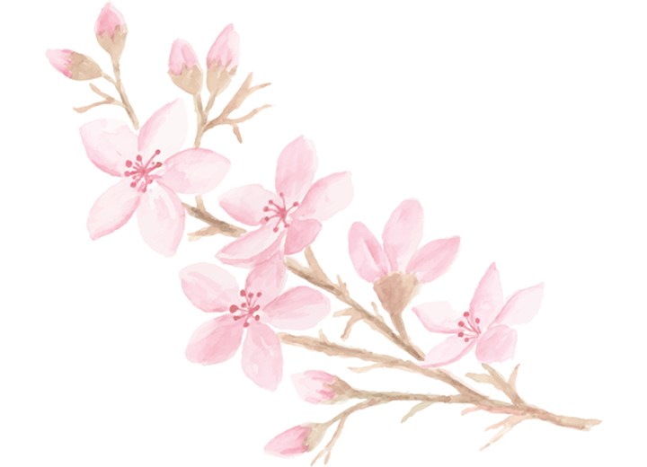 Cherry Blossom watercolor painting